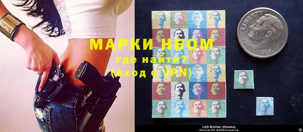 ГАЛЛЮЦИНОГЕННЫЕ ГРИБЫ Алексин