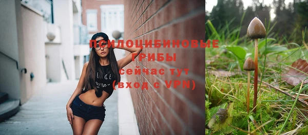 ГАЛЛЮЦИНОГЕННЫЕ ГРИБЫ Алексин