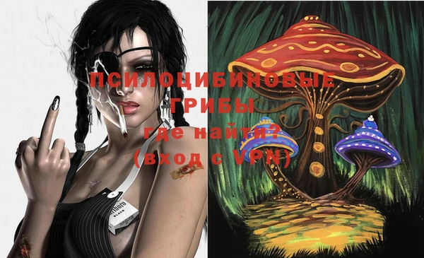 MDMA Premium VHQ Алзамай