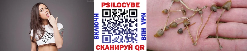 Галлюциногенные грибы Cubensis  хочу наркоту  Брянск 