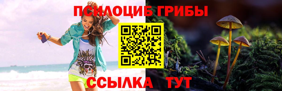 Псилоцибиновые грибы Psilocybine cubensis  Вход с VPN  Галлюциногенные грибы Psilocybine cubensis  Брянск 